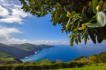scenery at the azores island