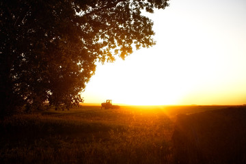 A harvest swather parked under a drooping tree in an agriculture field cast with golden glow in a sunset countryside landscape