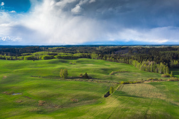 Obraz premium Green fields in spring evening.