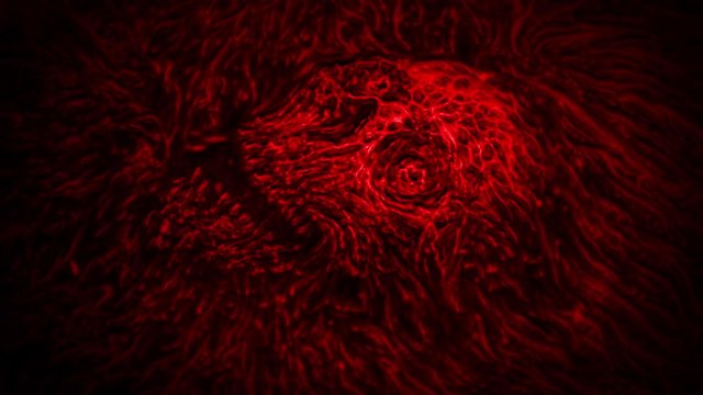 Zombie skull in bloody water. Animation in genre of horror. Red background color. 