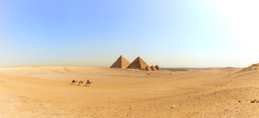Panorama of the Giza desert with the Great Pyramids and camels, Egypt