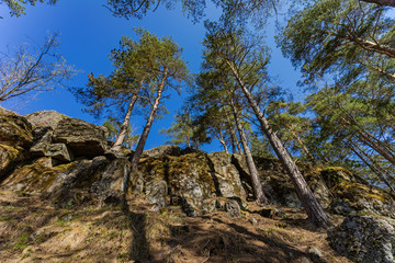 Landscape in Karelia. Rocks and pines on the edge of the cliff. Damn chair in Petrozavodsk. Botanical Park in Petrozavodsk.