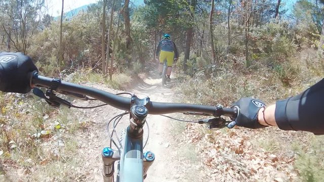 A POV point of view shot of an MTB mountain biker riding tight trails full of dust in a forest on a sunny day.