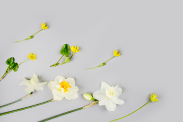 Decoration of Women's Day or Mother's Day. Frame of red tulips, narcissus, hyacinths and flowers muscari on white background with space for text.