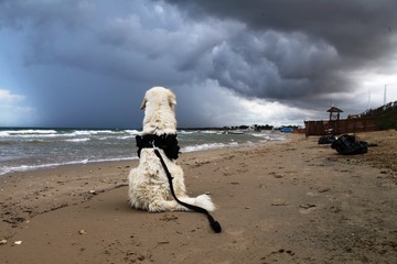Lo sguardo sulla tempesta