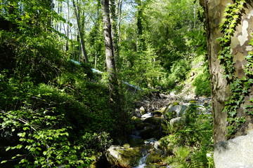 detalles que nos ofrece la naturaleza