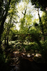 detalles que nos ofrece la naturaleza