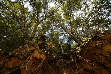 detalles que nos ofrece la naturaleza