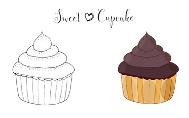 Vector isolated cake or cupcake, dessert with berry