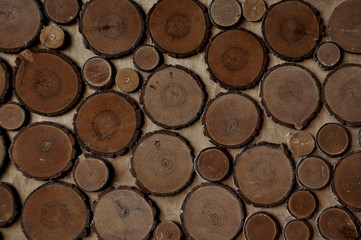  texture of cut tree rings