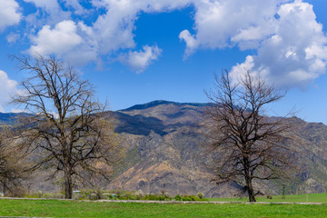 Amazing spring landscape with trees and mountains, Armenia