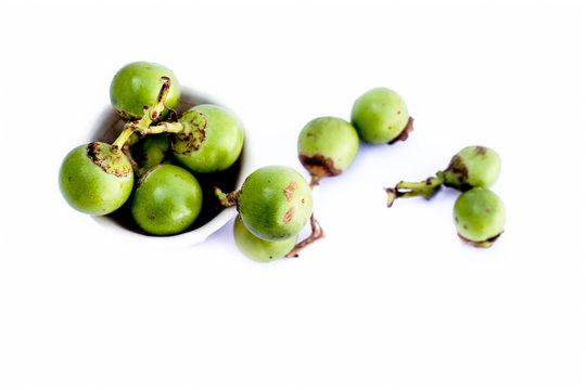 Popular Indian pickle fruit isolated on white i.e. Fragrant manjack or snotty gobbles, glue berry, pink pearl, bird lime tree, Indian cherry, Lasoda Tenti,Dela or gunda.