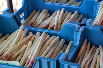 Fresh asparagus is sold at the market