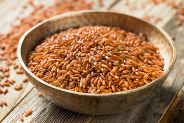 Dry Organic Red Rice
