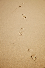 Fototapeta na wymiar Pegadas na areia, praia