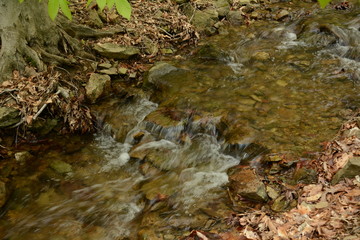 Spring time in Maryland parks