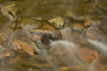 Spring time in Maryland parks
