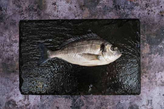 High angle close up of a fresh sea bream on black slate.