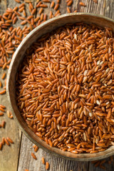 Dry Organic Red Rice