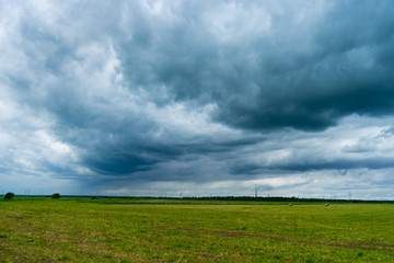 Fototapeta na wymiar field and sky with clouds