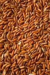 Dry Organic Red Rice
