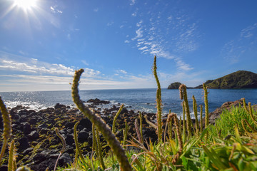 Obraz premium scenery at the azores island