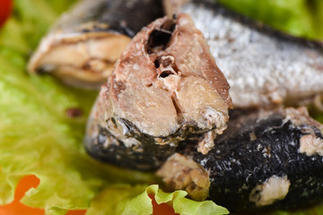 Macro shot. Pieces of sardine iwashi on lettuce leaves.