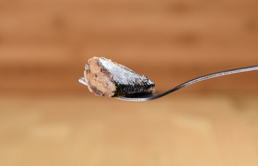 A piece of canned sardine ivasi on a fork over a wooden background.