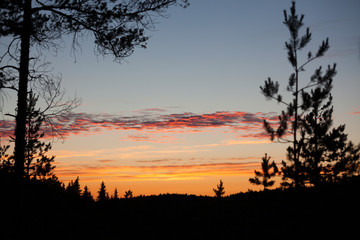 Obraz na płótnie Canvas Colorful clouds sunset forest background