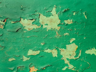 Close-up of cracked paint on wooden surface. Dried green paint peels off and cracks into pieces. Green yellow wooden surface crazing.