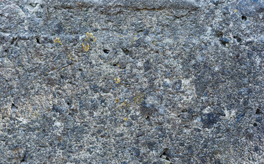 Grey and green abstract textured grunge wall background   for use in design. Wall fragment with cracks, scratches 