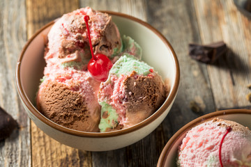 Sweet Spumoni Ice Cream