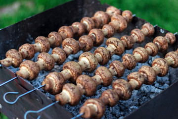 mushrooms on skewers, cooked on coals