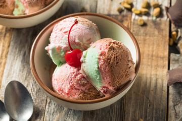 Sweet Spumoni Ice Cream