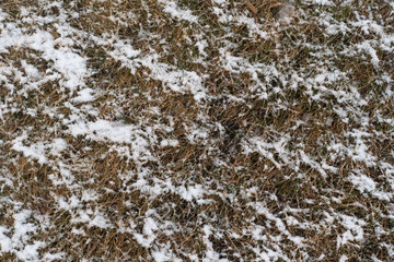 Obraz premium snowtexture2