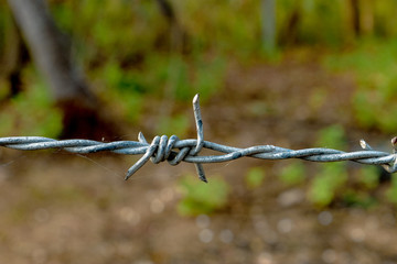 barbed wire fence
