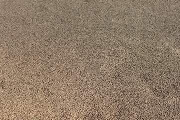 Fototapeta na wymiar Texture of brown ground