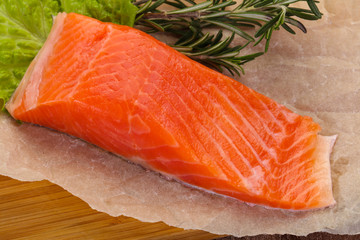 Piece of raw salmon