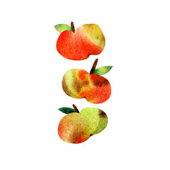 illustration with watercolor apples