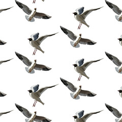 Obraz premium Vector pattern with hand drawn illustration of seagulls isolated.