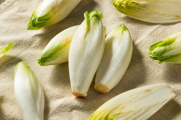 Raw Organic Belgian Endive