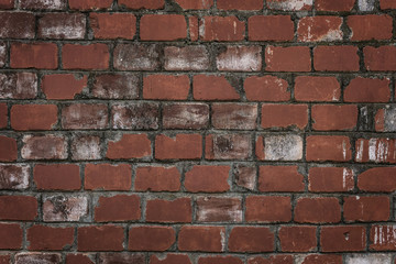 Fototapeta premium Old red brick wall texture background.