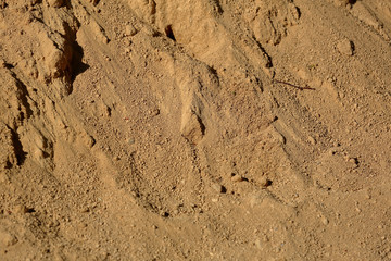 Uneven textured surface of a mixture of dirty sand and small stones