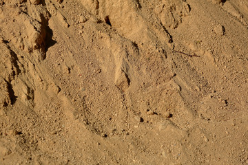 Fototapeta premium Uneven textured surface of a mixture of dirty sand and small stones