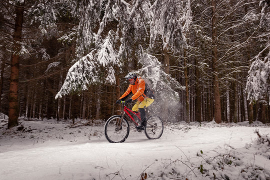 Man riding mountain bike on path in winter forest