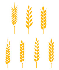 Vector logo design and elements of wheat grain.