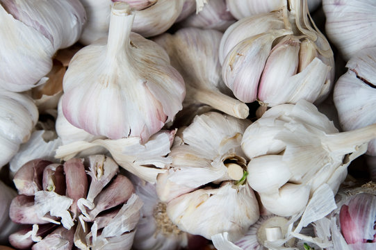 Garlic bulbs on market