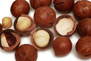 Macadamia nuts on white background, isolated, closeup