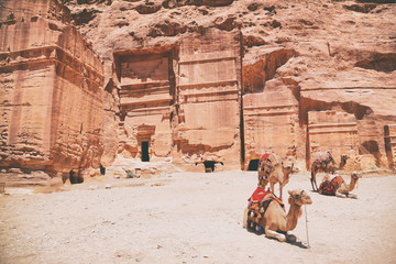 Jordan travel background with camels in front of monastery ruins in Wadi Rum desert. Nature landscape.