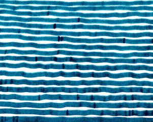 Hand drawn blue waves on white background.Abstract concept graphic element.